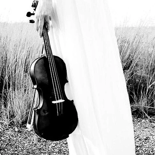 /../assets/images/wix/2019-02-05 violin.png