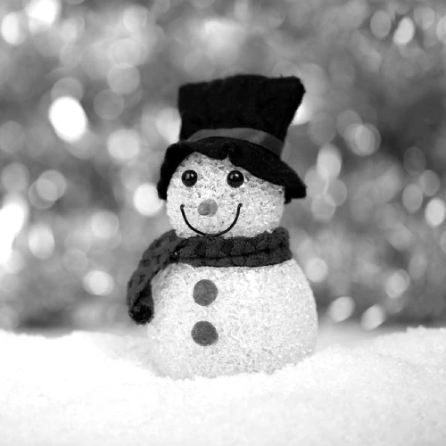 /../assets/images/wix/2019-12-31 snowwoman.png